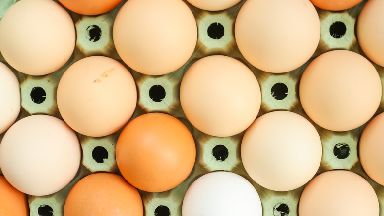 Carton of multicolored eggs