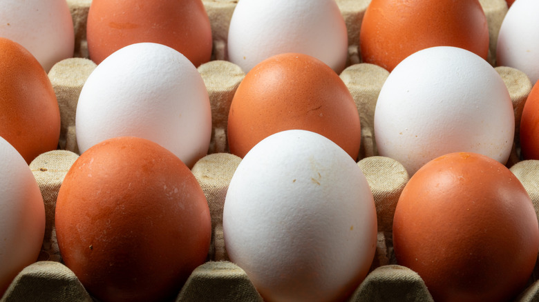 Brown and white eggs in carton