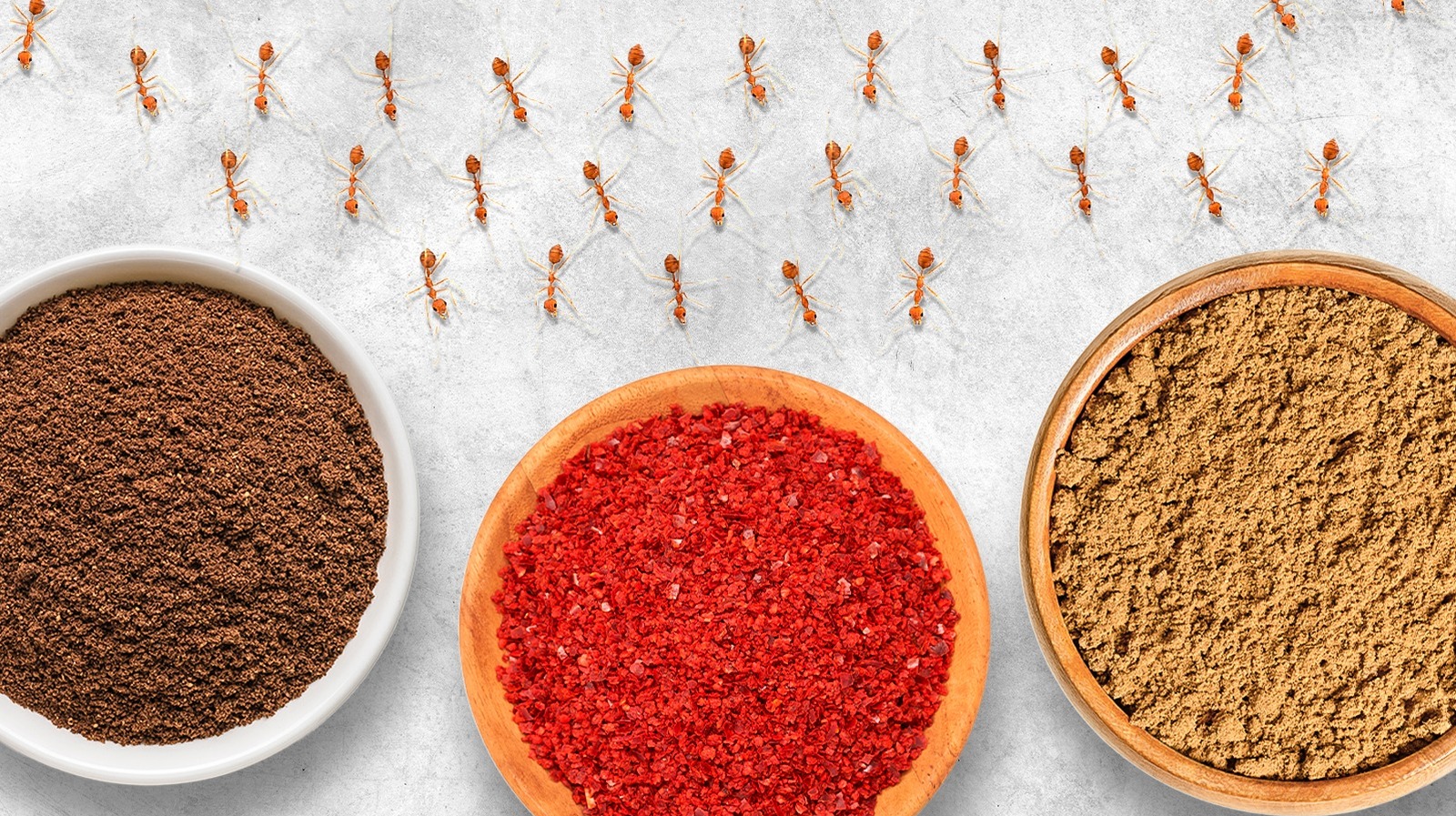 Repulsive Ant The 9 Best Natural Repellents To Keep Ants Away From Your Picnic