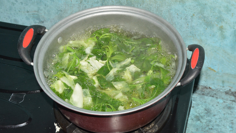 Boiling Chinese cabbage in a pot