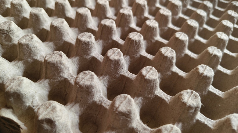 egg cartons shallow depth of field