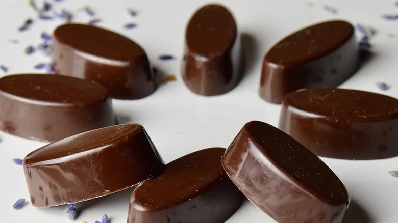 dark chocolate from thorncrest farm