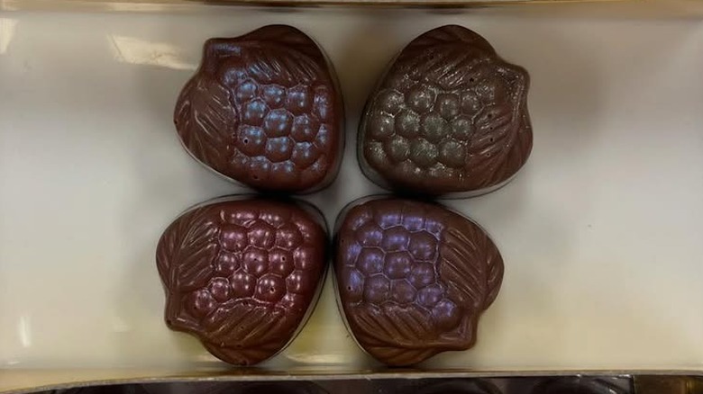 Chocolate fruits from Painted Turtle