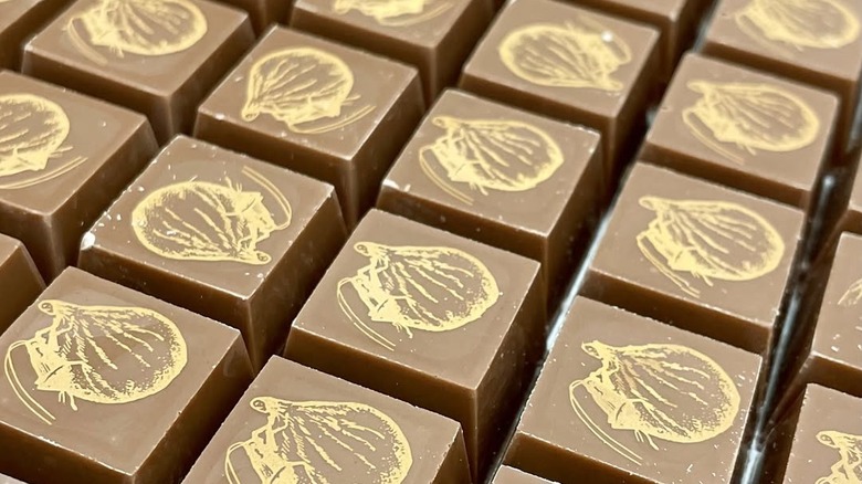 Cricket and Fig milk chocolates