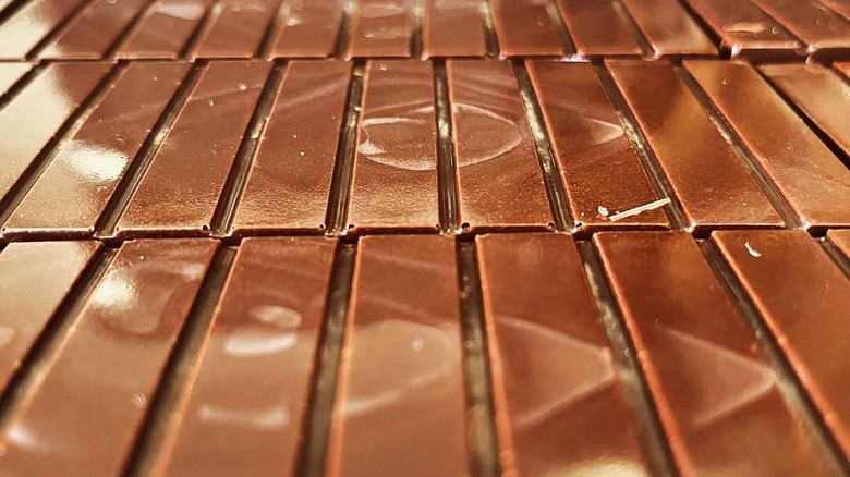 Seahorse chocolate bars