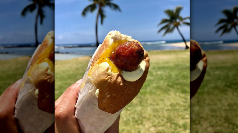 A Hawaiian-style puka dog with a beach in the background