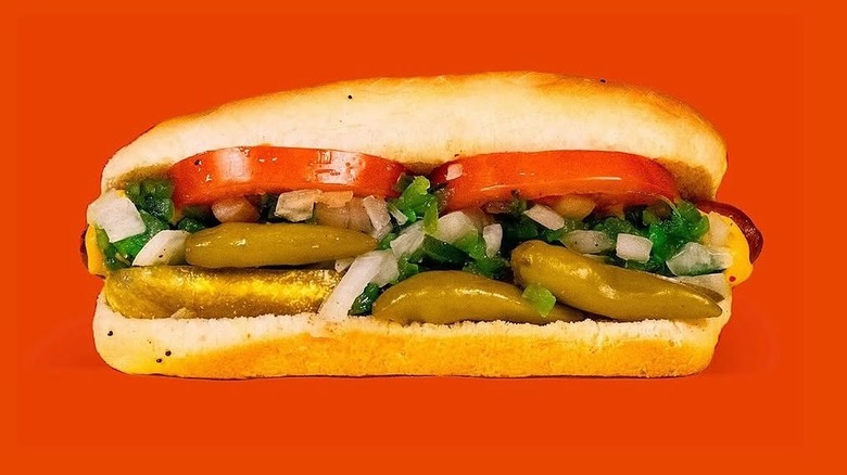 A Chicago-style hot dog against a red backdrop