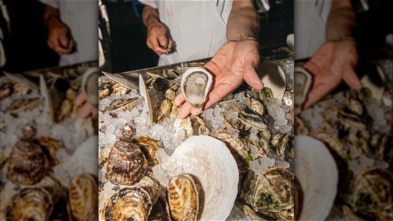 A person holding an oyster at Gift Horse
