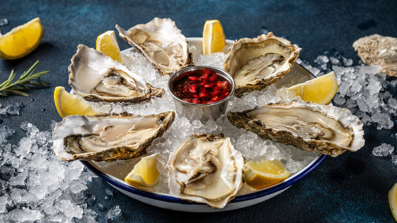 A plate of freshly shucked oysters at an oyster bar