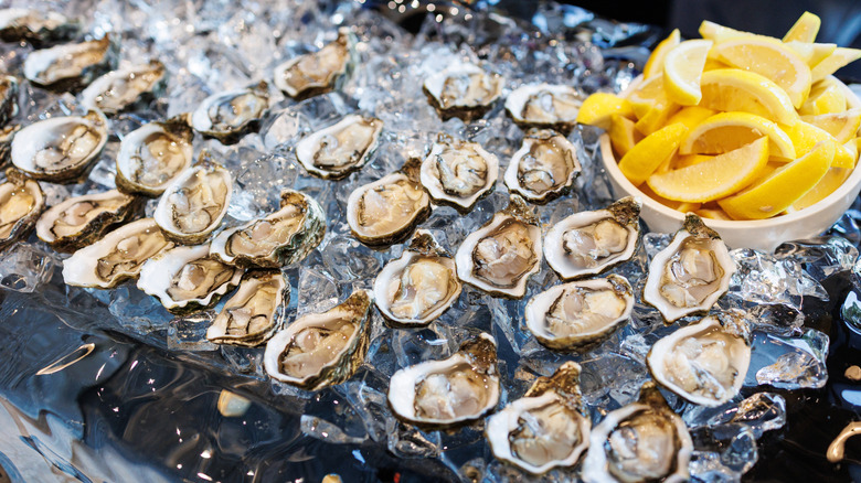 Oysters on ice with wedges of lemon at an oyster bar
