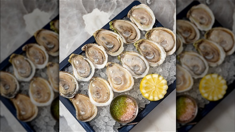 A dozen oysters on ice with a lemon