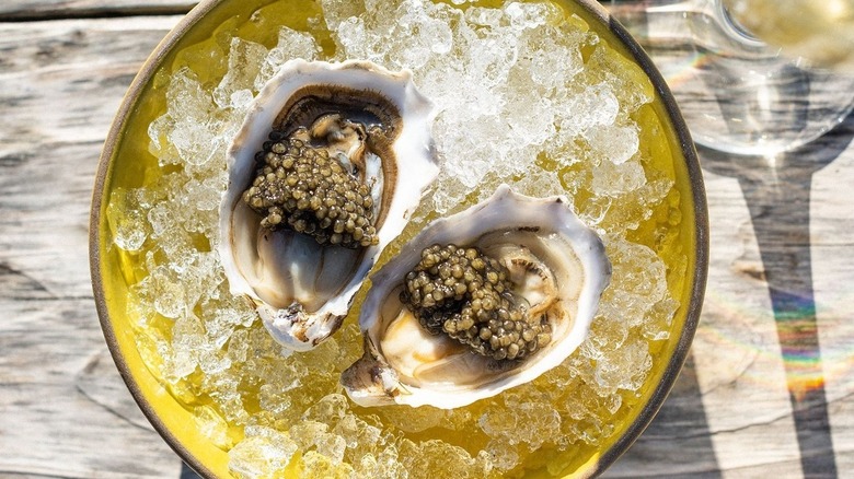 Two oysters on ice with caviar at Hog Island Oyster Co.