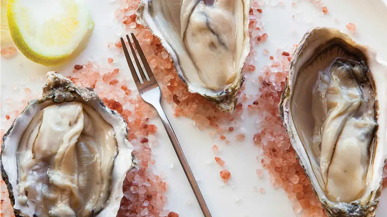 Oysters on pink salt with a fork and lemon slice at The Palace Station Oyster Bar