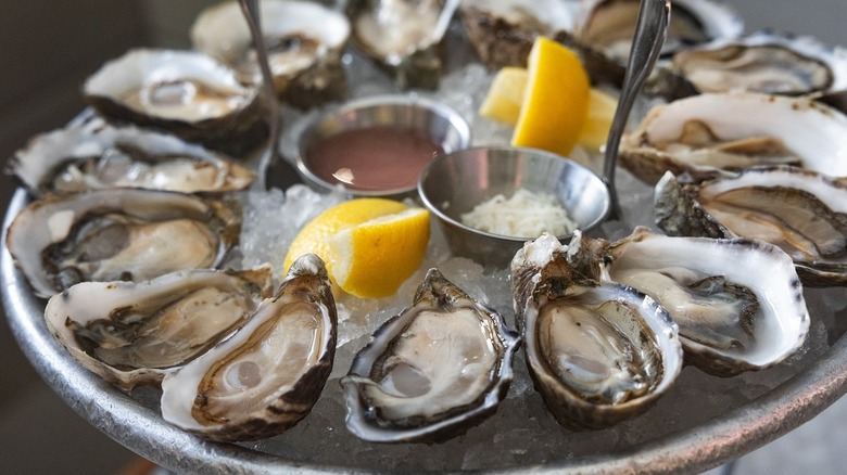 An oyster platter at The Walrus and the Carpenter