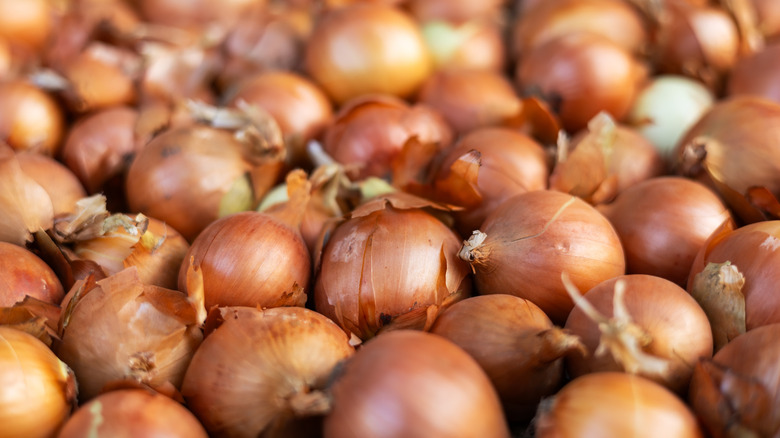 a mound of onions