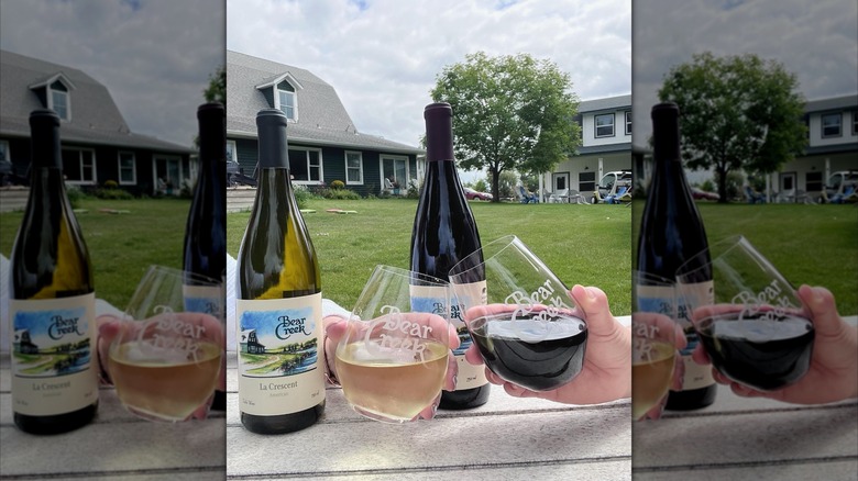 Two hands clinking glasses next to Bear Creak wine bottles outdoors at Bear Creek Winery