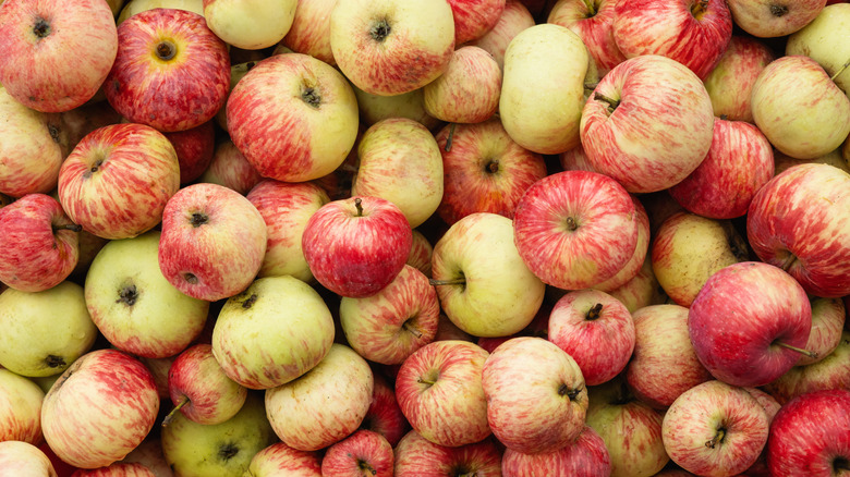 Red and green apples piled on top of one another.