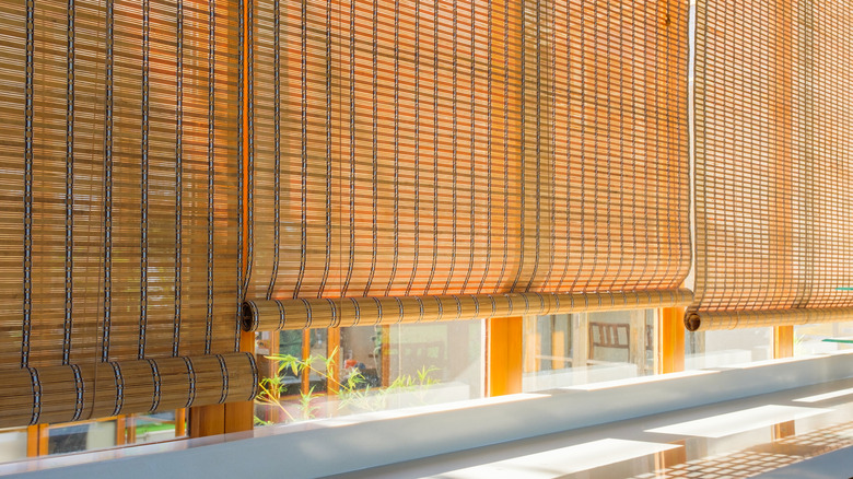 bamboo blinds