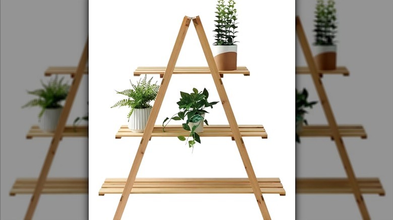 An A-frame ladder stand with three tiers showcasing plants.