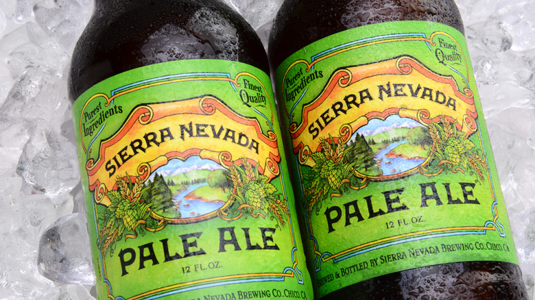 Two bottles of Sierra Nevada Pale Ale on ice