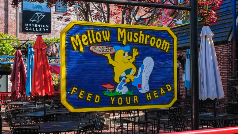 Mellow Mushroom in Asheville