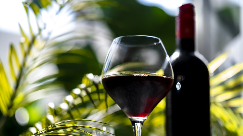 Glass and bottle of red wine in front of tropical palm fronds.