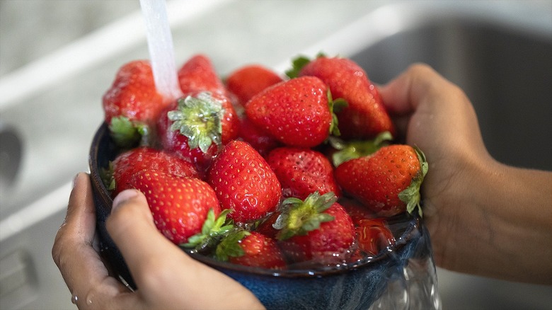 Hands washing a bowl of strawberries under running water