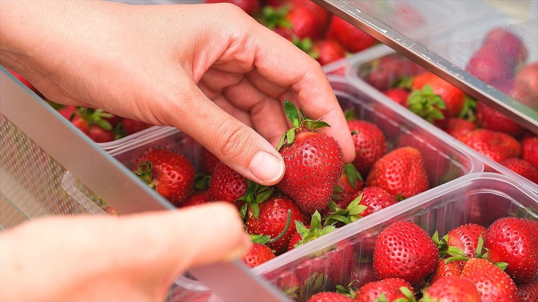 Hands touching strawberries in clear container in clear drawer