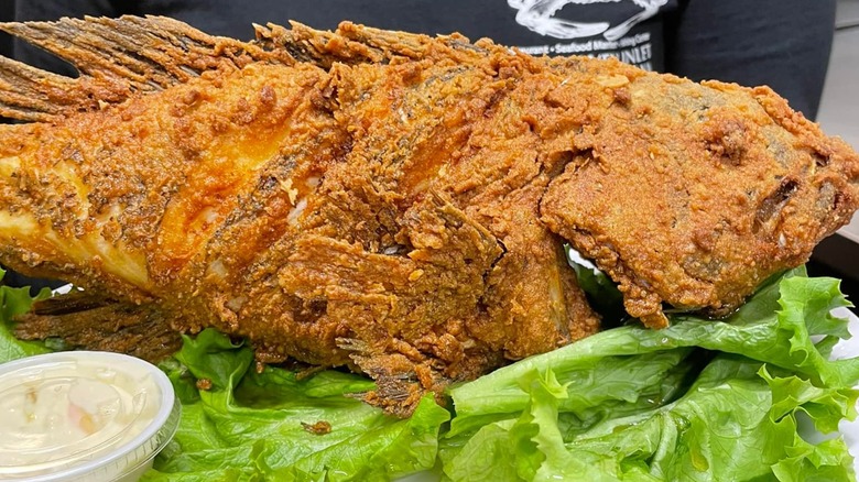 Whole fried sea bass on lettuce