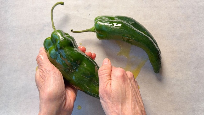 Rubbing olive oil onto poblano peppers