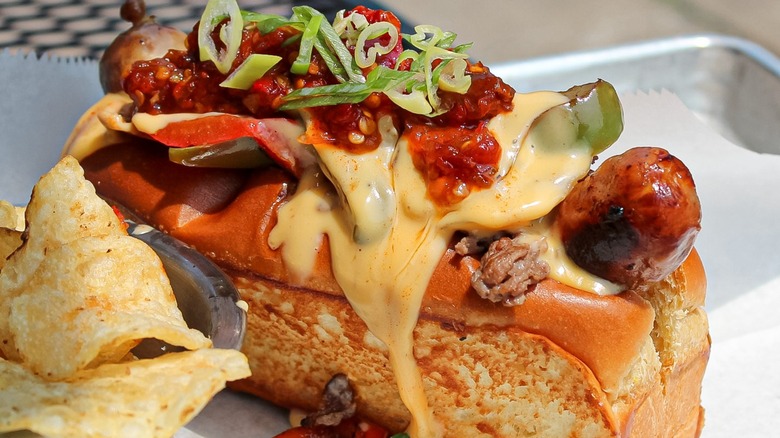 Italian sausage dog with cheese on tray with chips