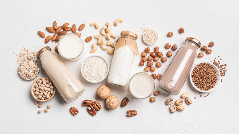 Various types of plant-based milk surrounded by nuts