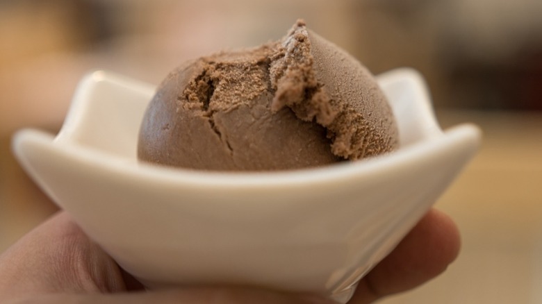 Bowl of chocolate ice cream