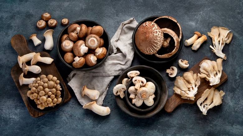 variety of mushrooms on grey table