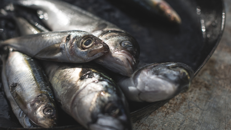mackerel piled in a cast iron pan