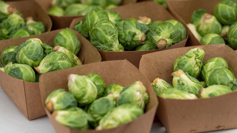 A close-up of cardboard cartons of fresh, bright green Brussels sprouts.