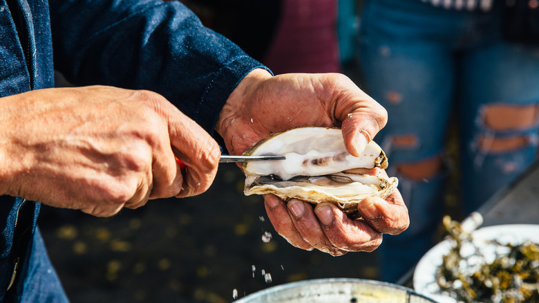 close-up of two hands shucking an oyster with knife