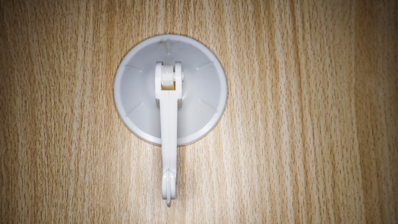 a closeup photo of an adhesive hook