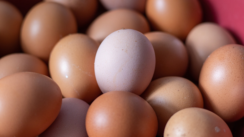 Closeup of eggs