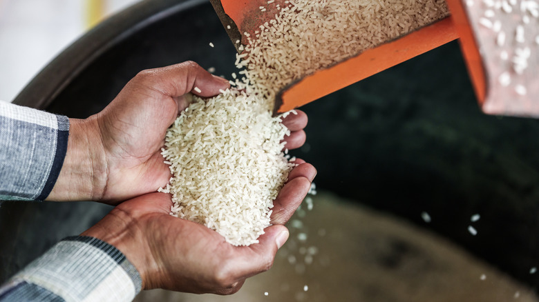 Rice being poured into hands