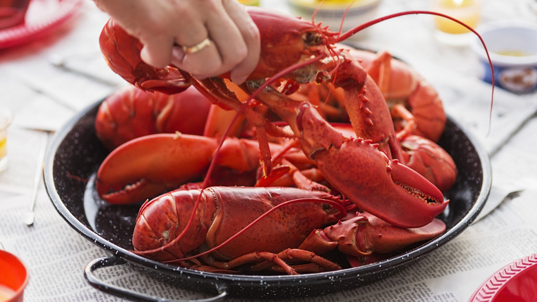 Person holding lobster above lobsters