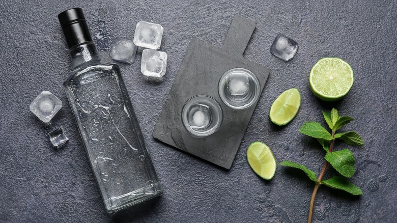 Bottle of vodka next to ice cubes, glassware, fresh sliced limes, and a spring of mint