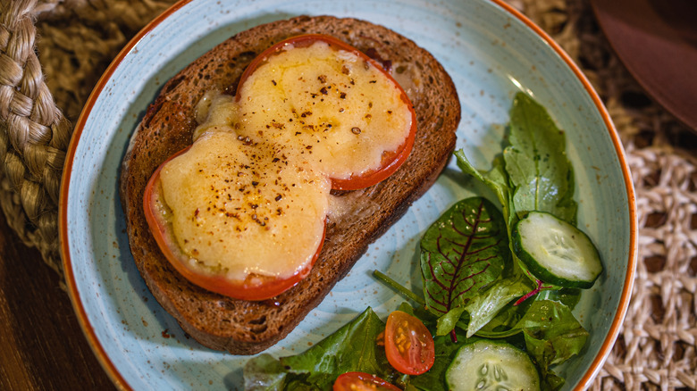 Slice of bread with tomato and melted cheese on a plate with salad.