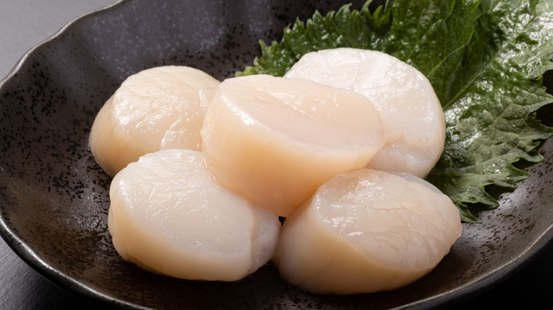 Raw scallops from Hokkaido, Japan with shiso leaf