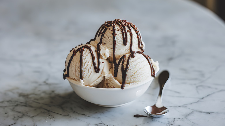 Vanilla ice cream with chocolate sauce and chocolate sprinkles