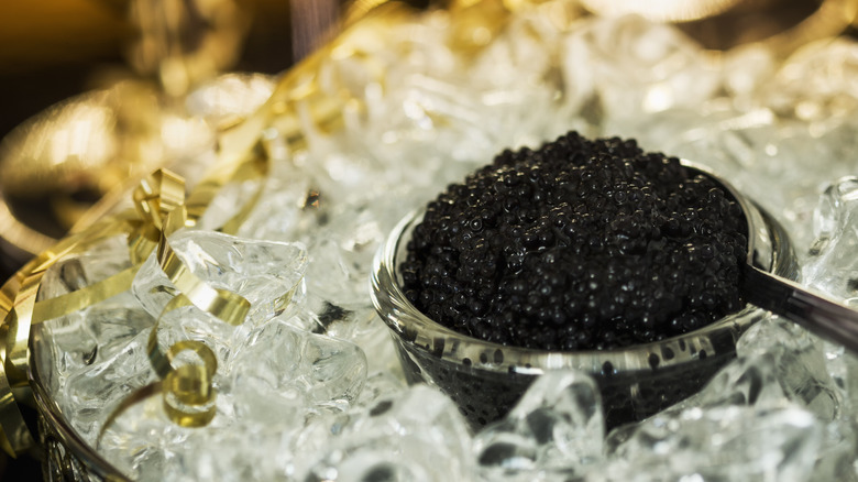 black caviar on ice