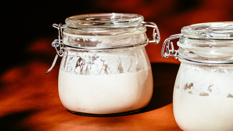 Two small glass jars of sourdough starter