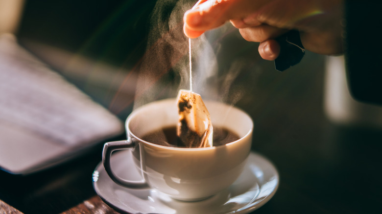 Hand dipping tea bag into white cup