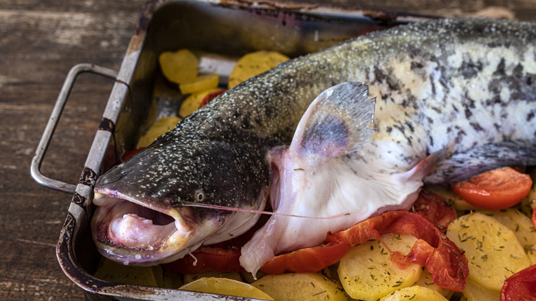 A whole catfish in a roasting pan.