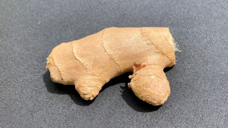 ginger root on gray background